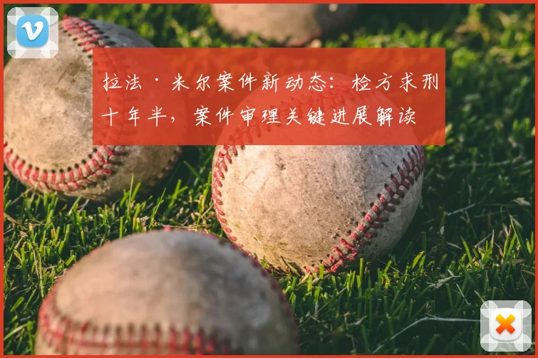 拉法·米尔案件新动态:检方求刑十年半,案件审理关键进展解读
